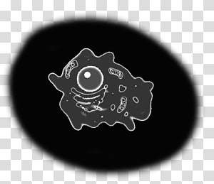 White Font, design transparent background PNG clipart thumbnail