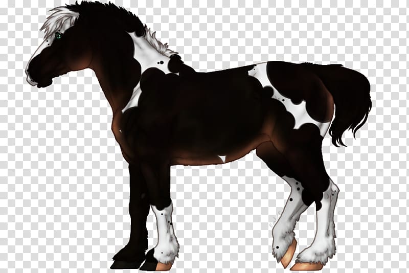 Stallion Thoroughbred Mare Dutch Warmblood Mustang, mustang transparent background PNG clipart