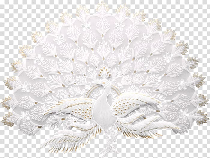 Pavo White Asiatic peafowl, others transparent background PNG clipart