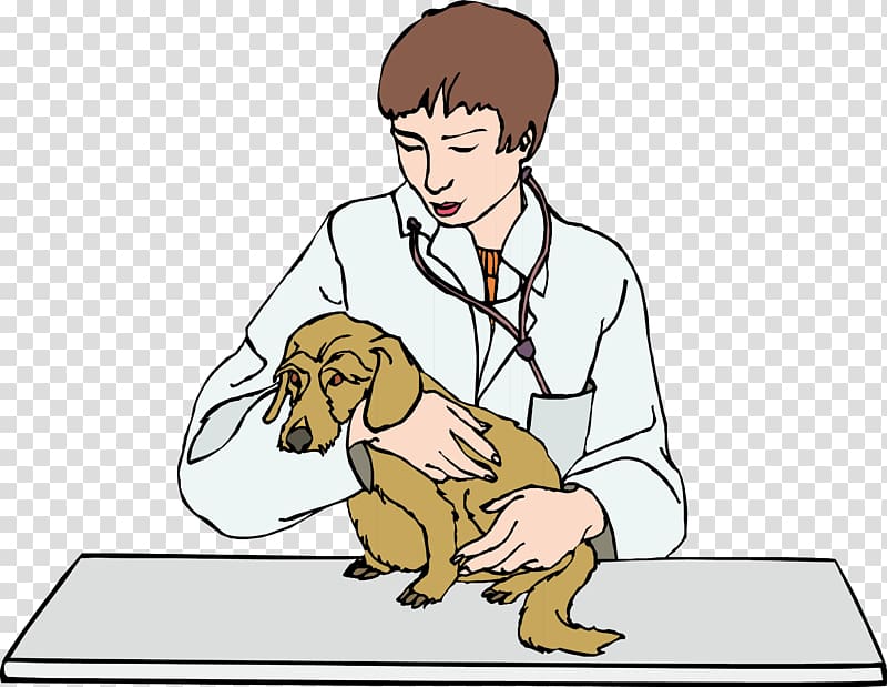 Paws and Claws: Pet Vet Dog Puppy Veterinarian, Pet doctor transparent background PNG clipart