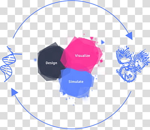 Genetics Science Biology Protein engineering Design, life sciences transparent background PNG clipart thumbnail