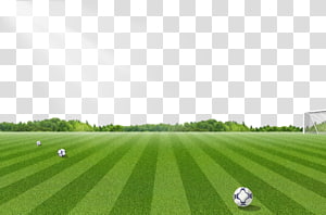 Football pitch Penalty area, football field transparent background PNG  clipart | HiClipart
