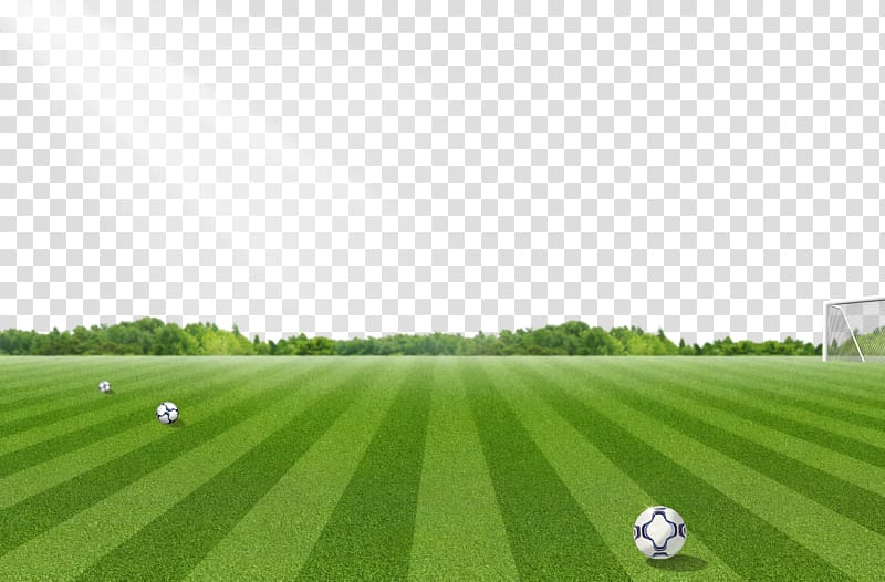 Soccer field under sunlight illustration, Football pitch Lawn, Football  field pattern transparent background PNG clipart | HiClipart