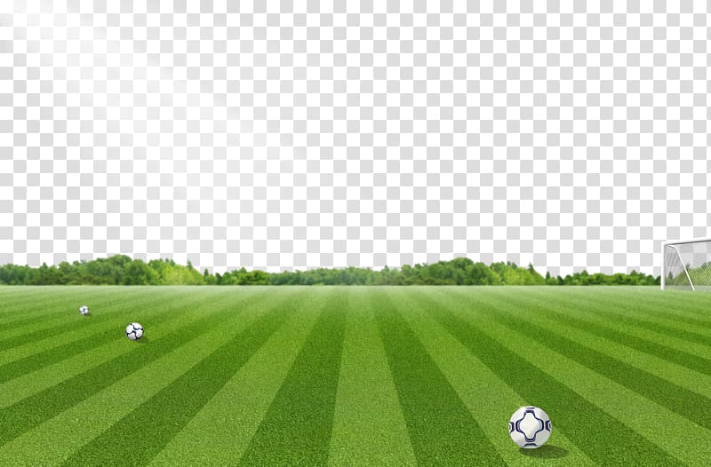 Soccer Field Under Sunlight Illustration Football Pitch Lawn Football 