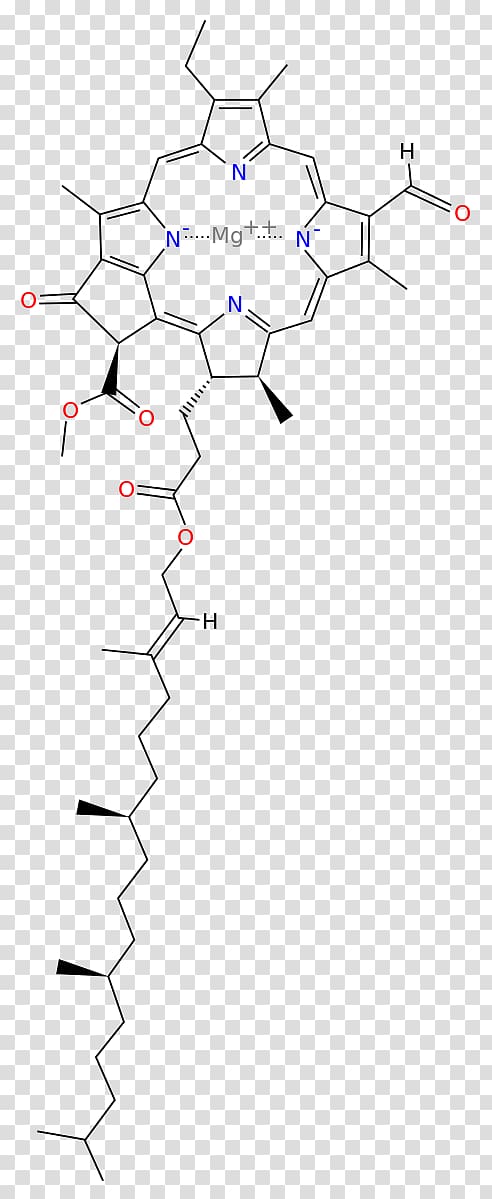 Chlorophyll a Chlorophyll b Chlorophyll c2 Chlorophyll c1, chlorophyll transparent background PNG clipart