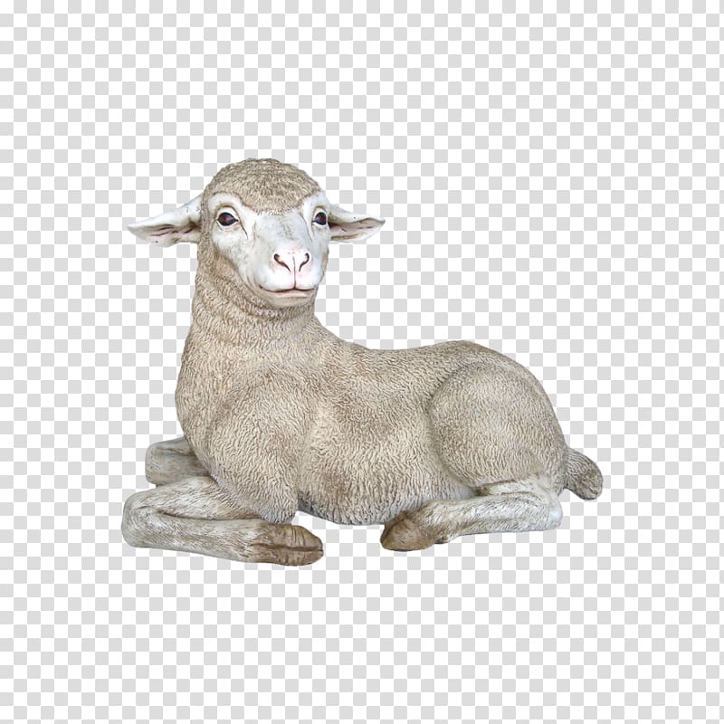 Merino Texel sheep Rove goat, others transparent background PNG clipart