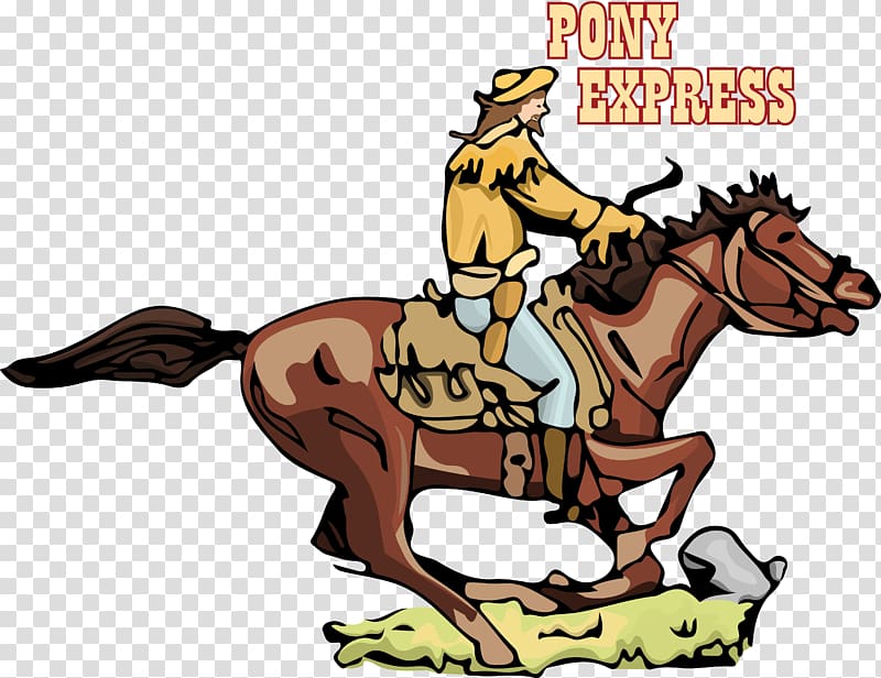 Mustang Pony Equestrian Rein Nebraska 150 Celebration, mustang transparent background PNG clipart