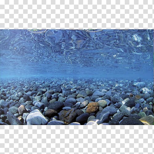 Aquarium Filters Fishkeeping Terrarium, Sea Rock transparent background PNG clipart
