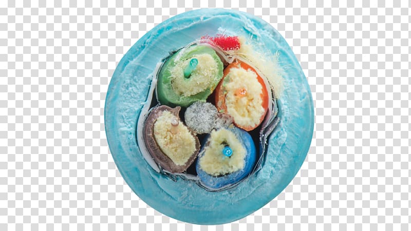 Easter egg Turquoise plastic, Fiber optic transparent background PNG clipart