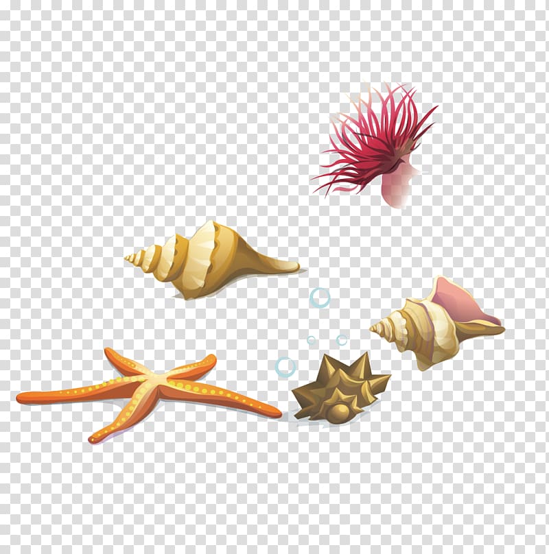 assorted-color coral reef illustration, Seashell Euclidean Sea snail, conch starfish seaweed transparent background PNG clipart