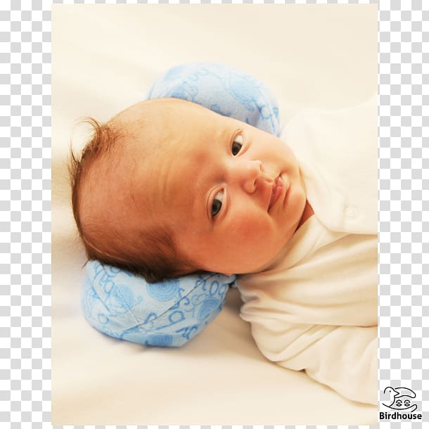 Child Infant Nose Toddler Cheek, groundnut transparent background PNG clipart