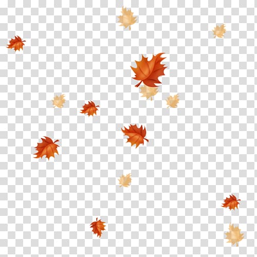 Autumn Leaves Maple leaf Petal, Maple Leaf floating element transparent background PNG clipart