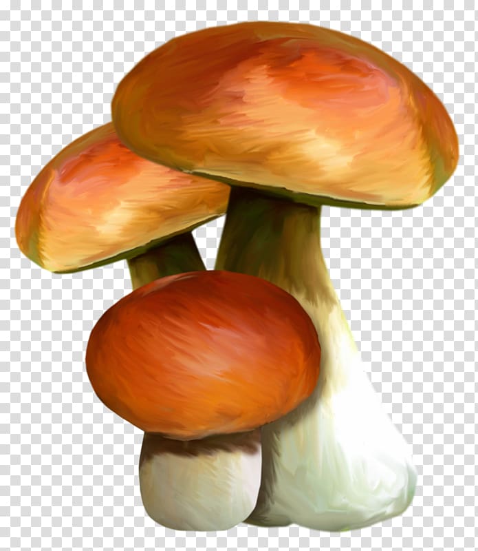 Edible mushroom Watercolor painting, mushroom transparent background PNG clipart