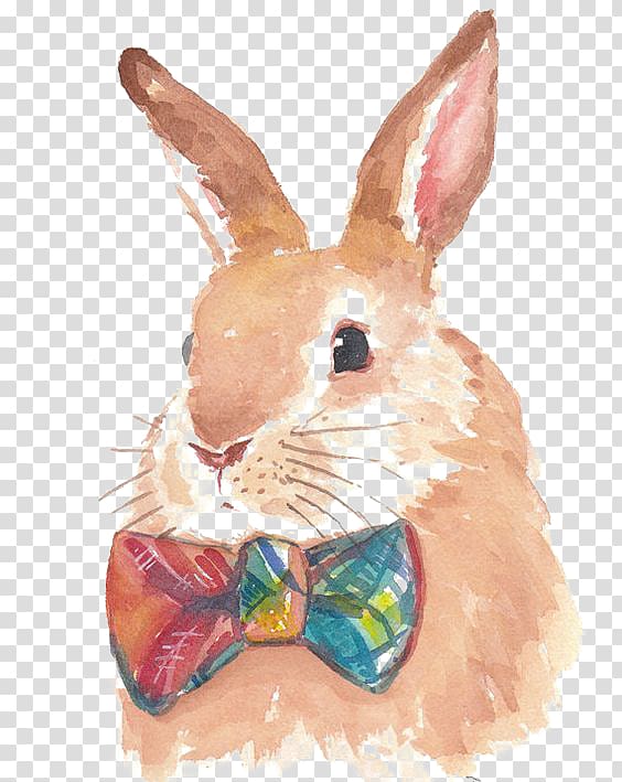 Hare Bunnies & Rabbits Watercolor painting Drawing, Hand-painted rabbit transparent background PNG clipart