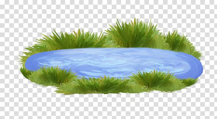 Body of water Pond Ornamental fish , others transparent background PNG clipart