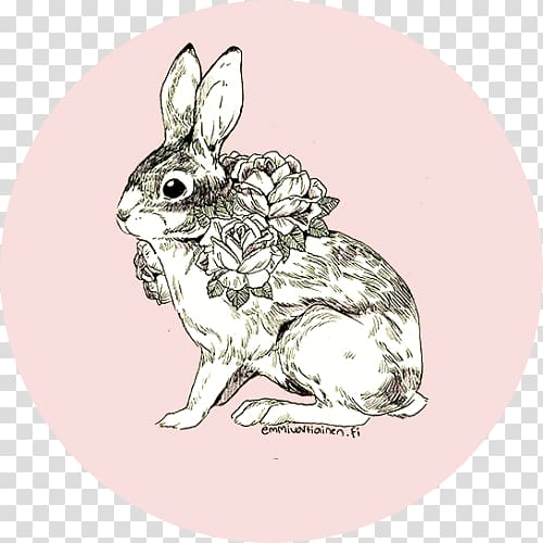 Hare Rabbit Drawing Illustrator, watercolor bunny transparent background PNG clipart