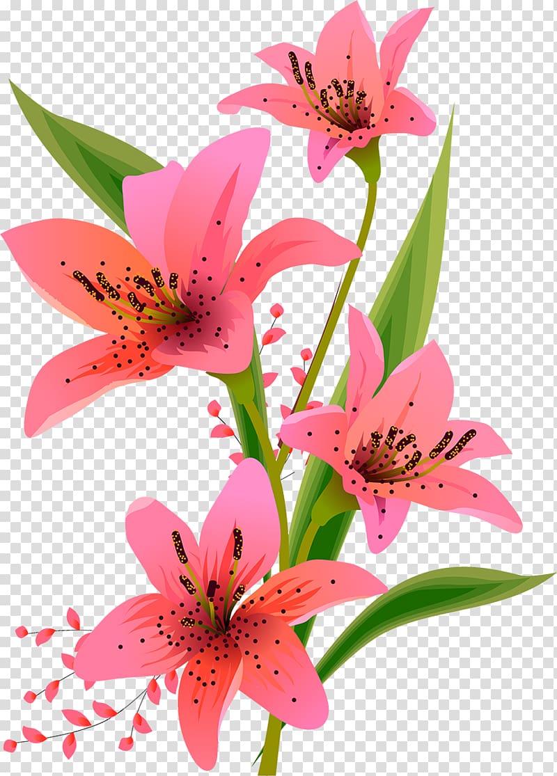 Lilium Floral design, design transparent background PNG clipart