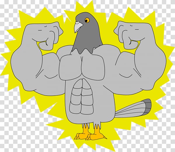 Muscle Bird anatomy Animal Art, pigeons 12 0 1 transparent background PNG clipart