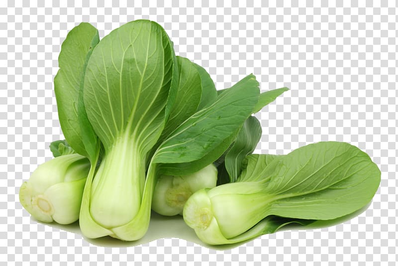 Cruciferous vegetables Cabbage Spring greens Choy sum, cabbage transparent background PNG clipart