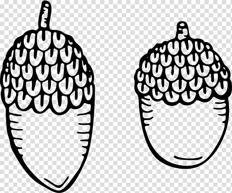 Drawing , acorn transparent background PNG clipart