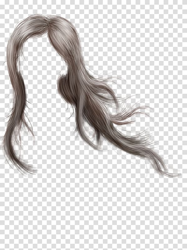 Lucas Biglia fundo png & imagem png - O cabelo longo coloração do Cabelo da  Peruca Bigode - lucas biglia png transparente grátis