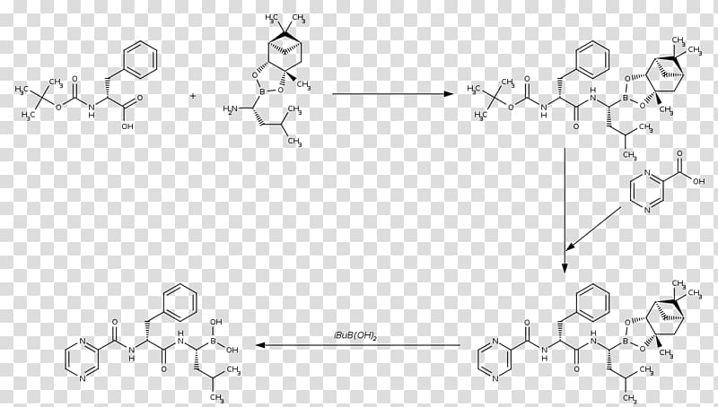 Glipizide Gliclazide Glibenclamide Glimepiride White, others transparent background PNG clipart