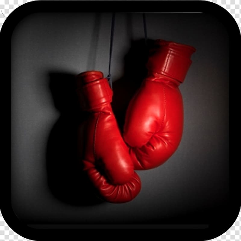 World Boxing Association Sport Pound for pound Heavyweight, boxing gloves transparent background PNG clipart
