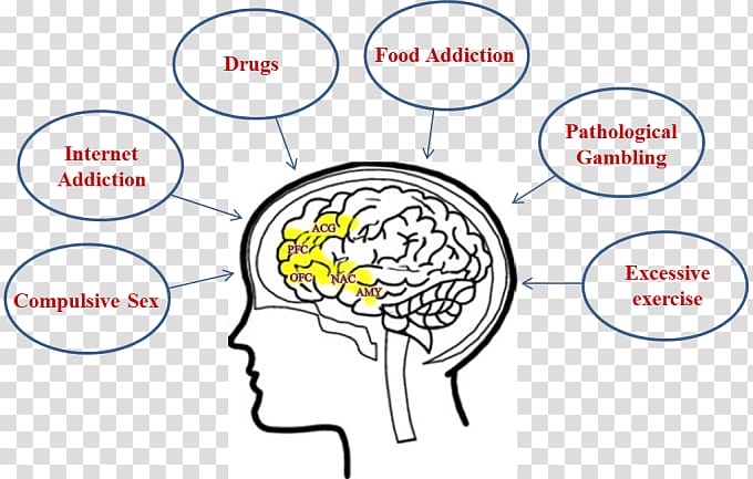 Brain Amygdala Addictive behavior Addiction Anterior cingulate cortex, Binge Eating transparent background PNG clipart