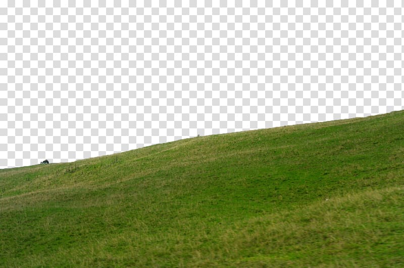 grass field under blue sky, Grass on the slope transparent background PNG clipart