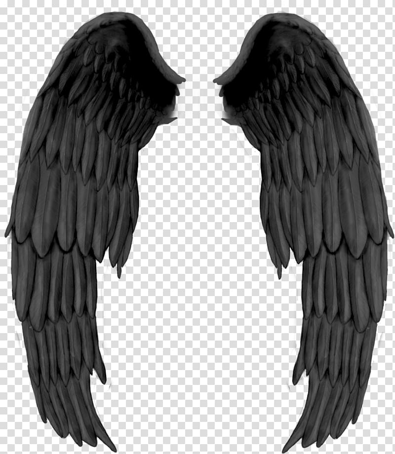 Fallen angel Drawing Darkness, 7.25% transparent background PNG clipart
