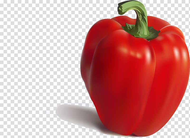 Bell pepper Cayenne pepper Nutrient Chili pepper Paprika, Food painted 3d transparent background PNG clipart