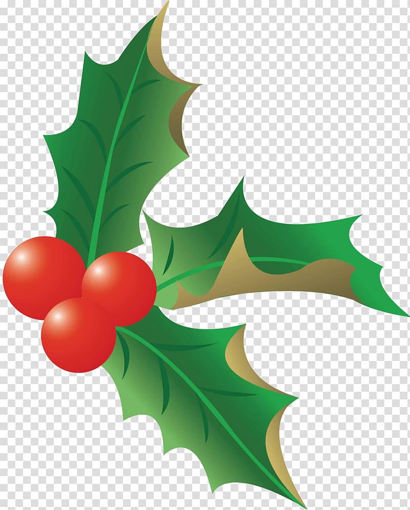 Christmas , christmas fruit transparent background PNG clipart
