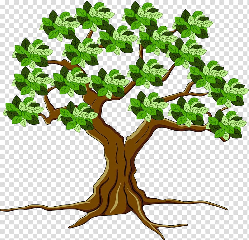 Tree Leaf Root, tree transparent background PNG clipart