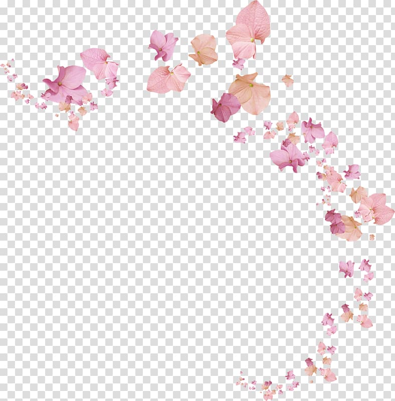 Portable Network Graphics Adobe shop Flower, the flower petals transparent background PNG clipart