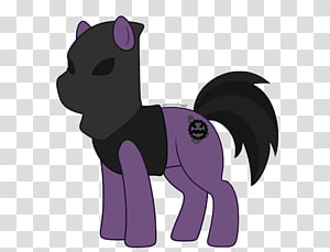 Cat Pony Horse, Cat transparent background PNG clipart thumbnail