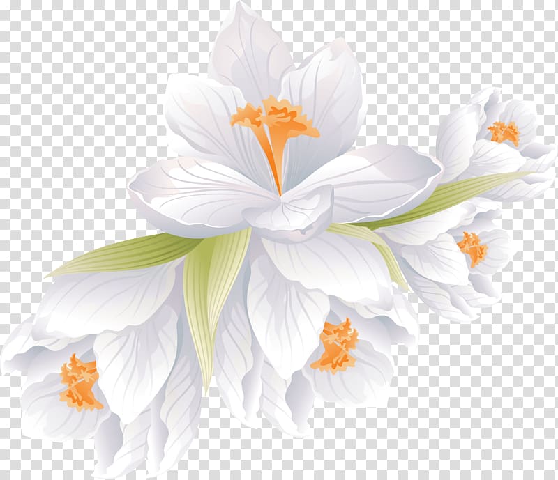 Flower bouquet Portable Network Graphics Floral design, flower transparent background PNG clipart