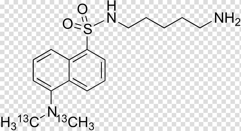 Chemical compound Chemical substance Chemistry Acid Methyl orange, Uniqueness Quantification transparent background PNG clipart