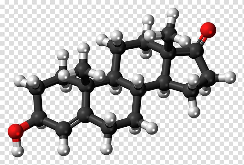 Hormone Insulin Therapy Steroid Testosterone, quimica transparent background PNG clipart