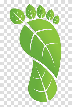 Green Leaf, Carbon Footprint, Ecological Footprint, Ecology