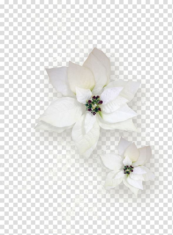 Floral design Cut flowers Flower bouquet, flower transparent background PNG clipart
