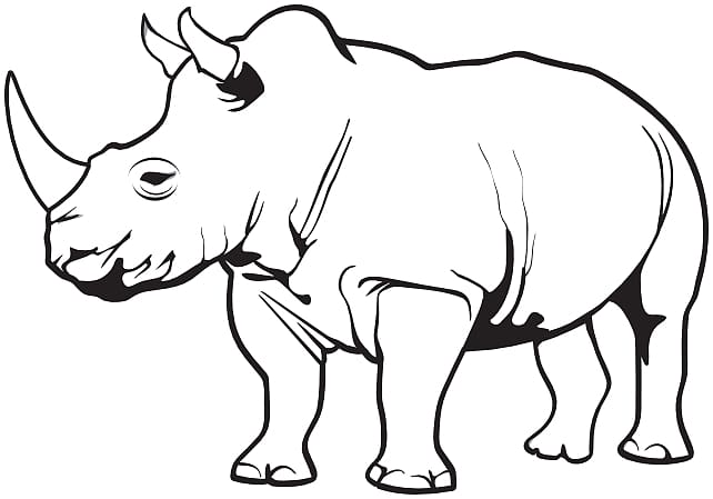 Rhinoceros Horn , Rhino Animal transparent background PNG clipart
