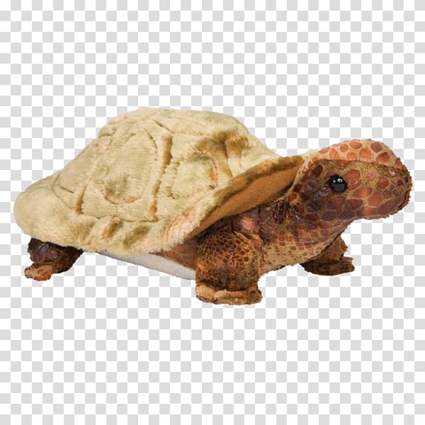 Box turtles Desert tortoise Animal, turtle transparent background PNG clipart