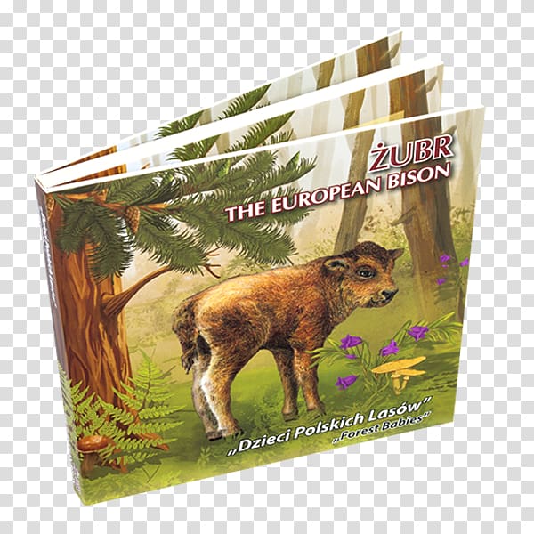 Wildlife Fauna, Bison Bonasus transparent background PNG clipart