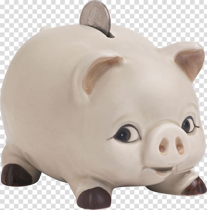 Piggy bank Domestic pig Computer Software , others transparent background PNG clipart