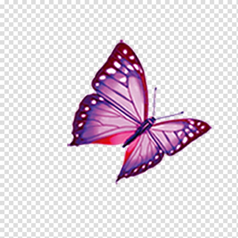 Mimpi Butterfly Computer keyboard Diamant koninkrijk koninkrijk BlueBlock, butterfly transparent background PNG clipart
