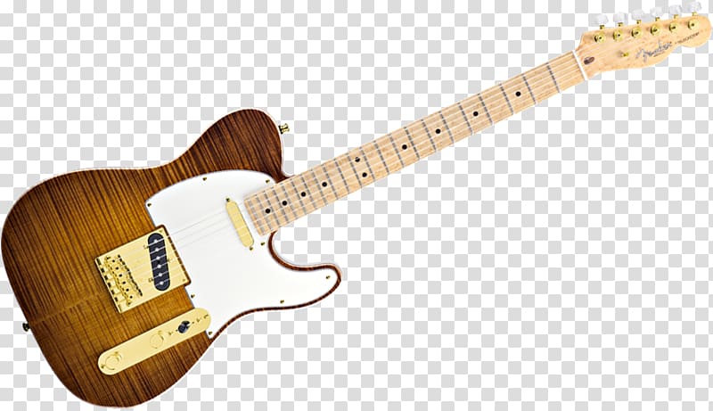 Fender Telecaster Thinline Guitar Fingerboard Fender Musical Instruments Corporation, guitar transparent background PNG clipart