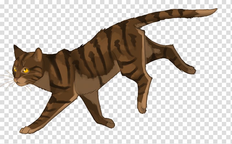 Cat Warriors Leafstar SkyClan\'s Destiny Erin Hunter, Cat transparent background PNG clipart