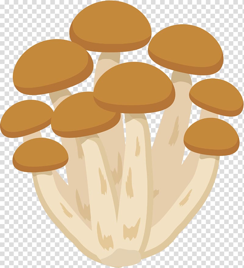 Hon-shimeji Food Mushroom Bento, mushroom transparent background PNG clipart