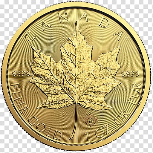 Canadian Gold Maple Leaf Canadian Maple Leaf Bullion coin, Current Year transparent background PNG clipart