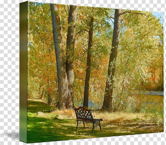 Temperate broadleaf and mixed forest Painting Gallery wrap Fauna Landscape, painting transparent background PNG clipart